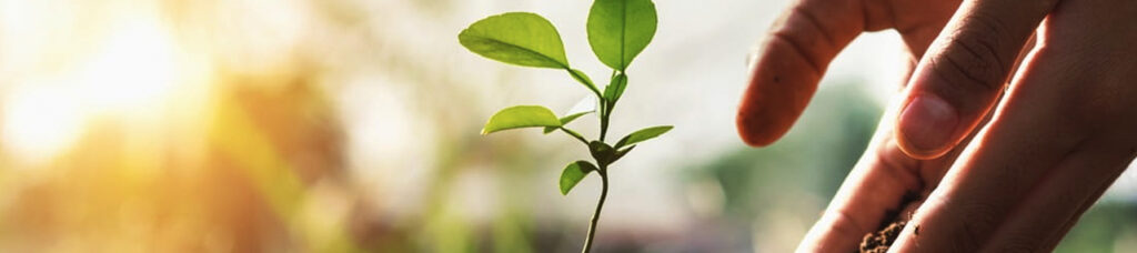 7 strategies to strengthen your 401(k)