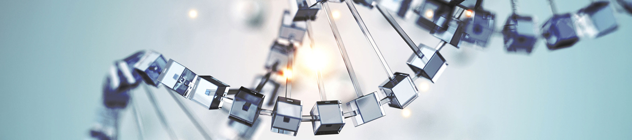 9 key questions for an effective family business transition