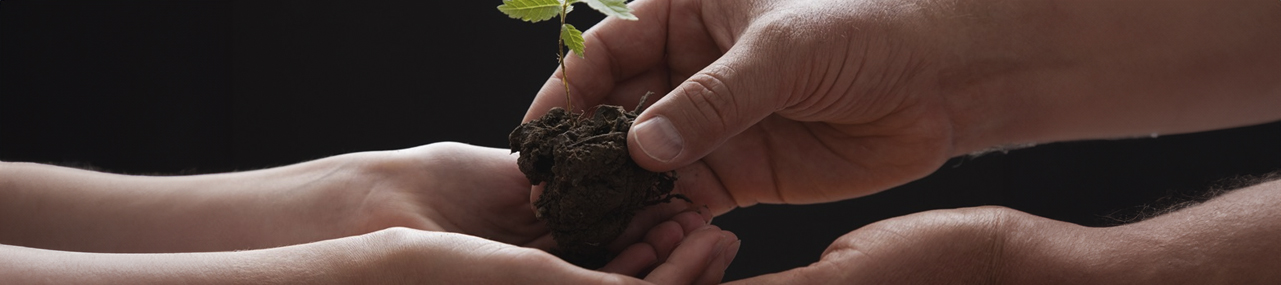 New tax law makes 2025 a strategic year for giving